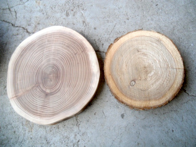 薪、広葉樹製材販売 木の素材屋さん>輪切り販売